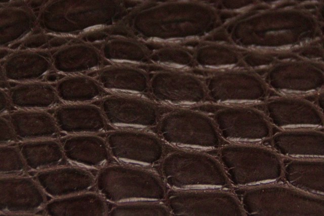 Marron chocolat verni